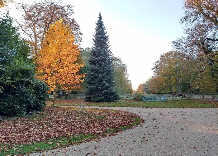 Sixties לינה וארוחת בוקר