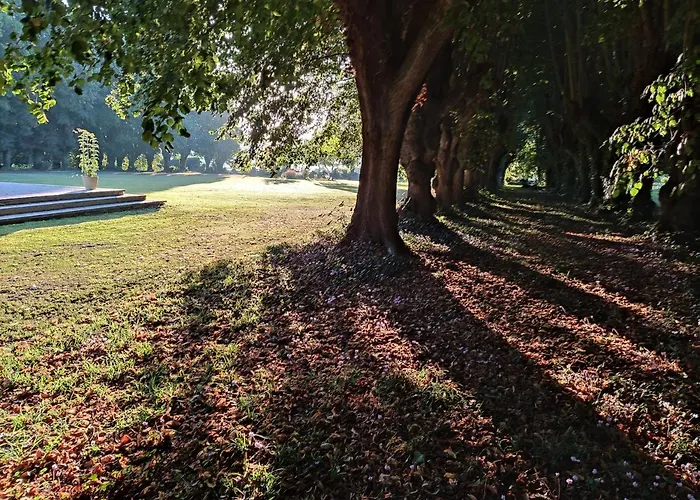 לינה וארוחת בוקר Sixties